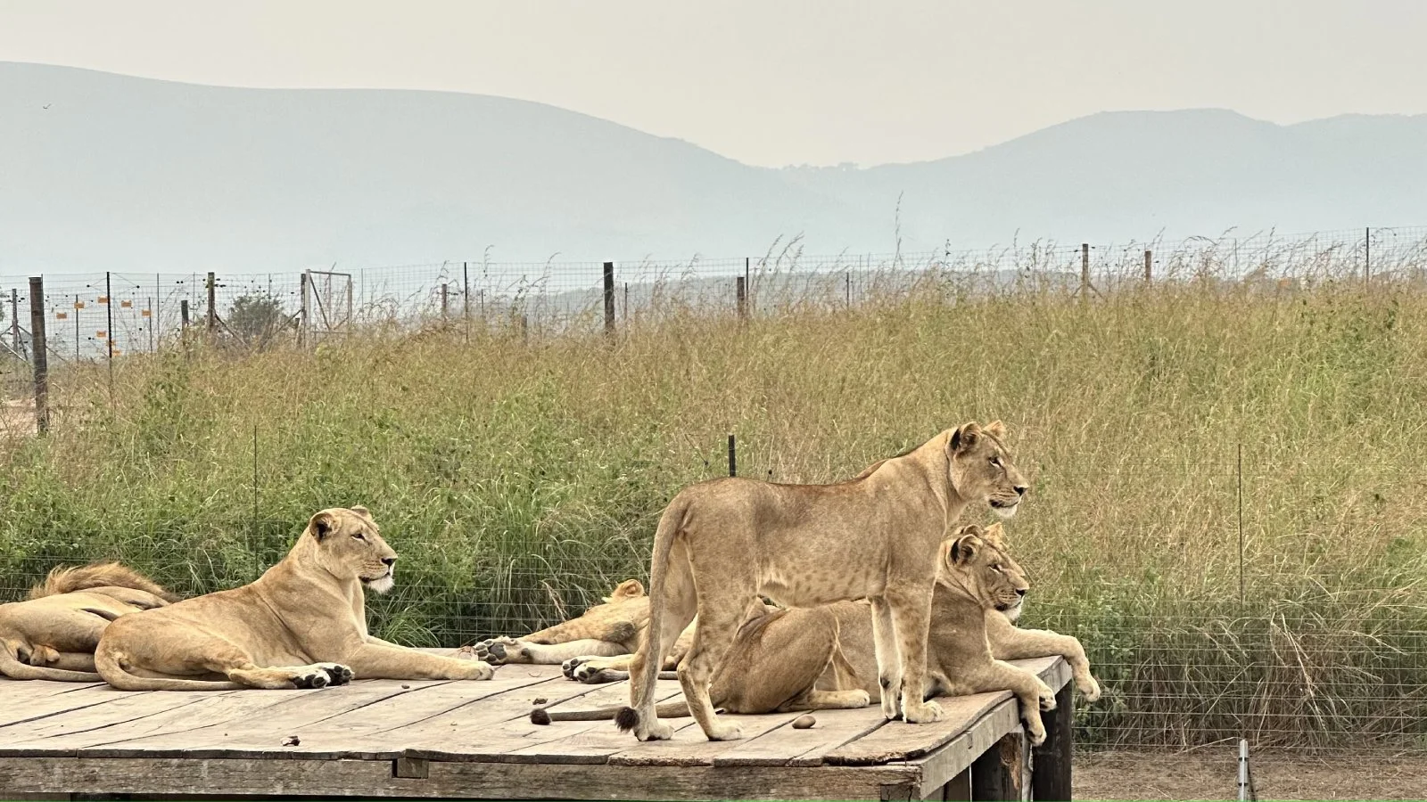 Parc de la Vallée de la Nsele — safari et nature à Kinshasa